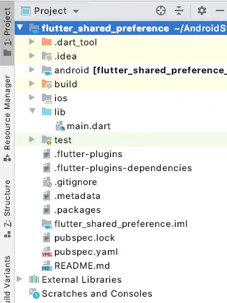 Flutter shared preference