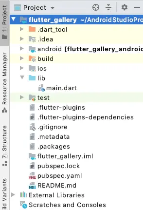flutter image picker