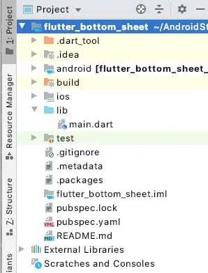 flutter bottomsheet