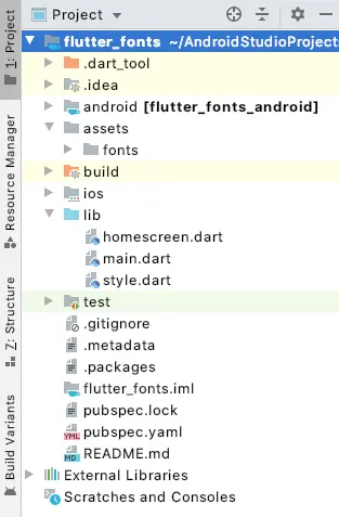 flutter fonts